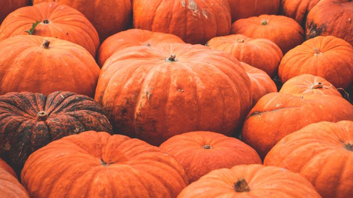 6 Amazing Health Benefits of Pumpkins