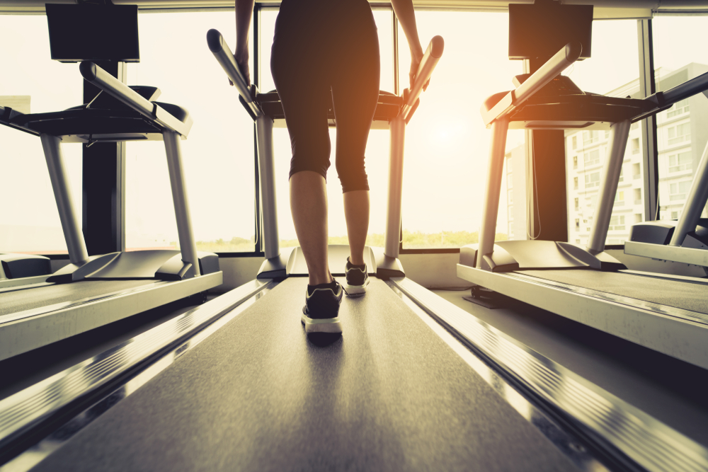 exercise and the immune system